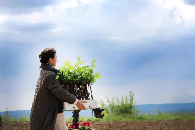 personne qui porte des pieds de vigne