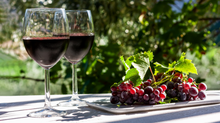 Deux verres de vin rouge disposés à côté de grappes de raisins issues de cépages du sud-ouest