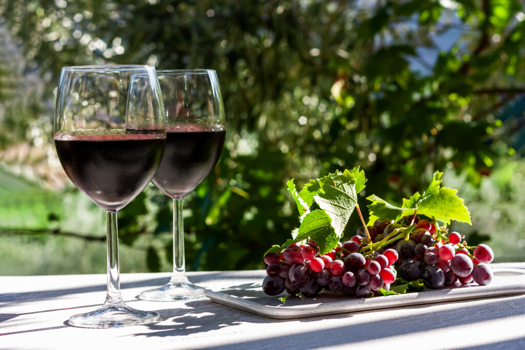 Two wineglass with red wine and ripe pink grapes on white table in the garden in the sunny day.
