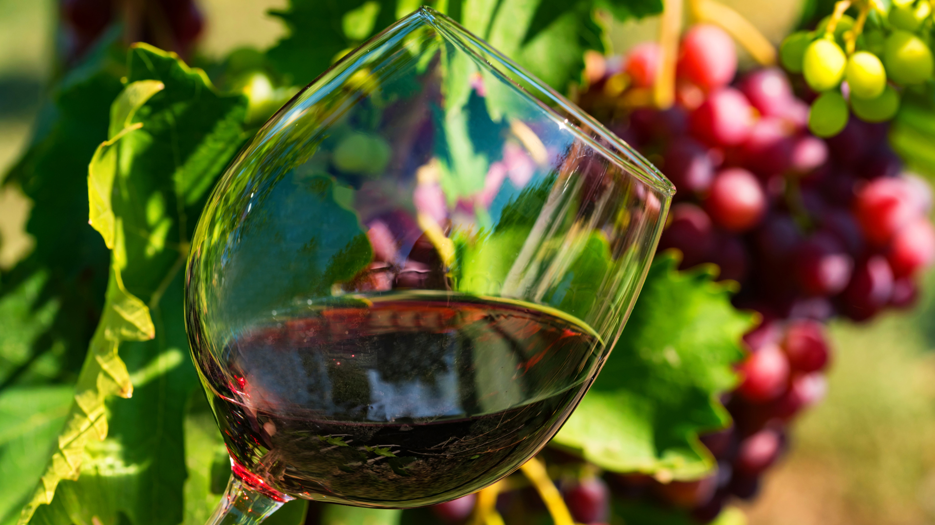 Verre de vin rouge de Bordeaux en gros plan